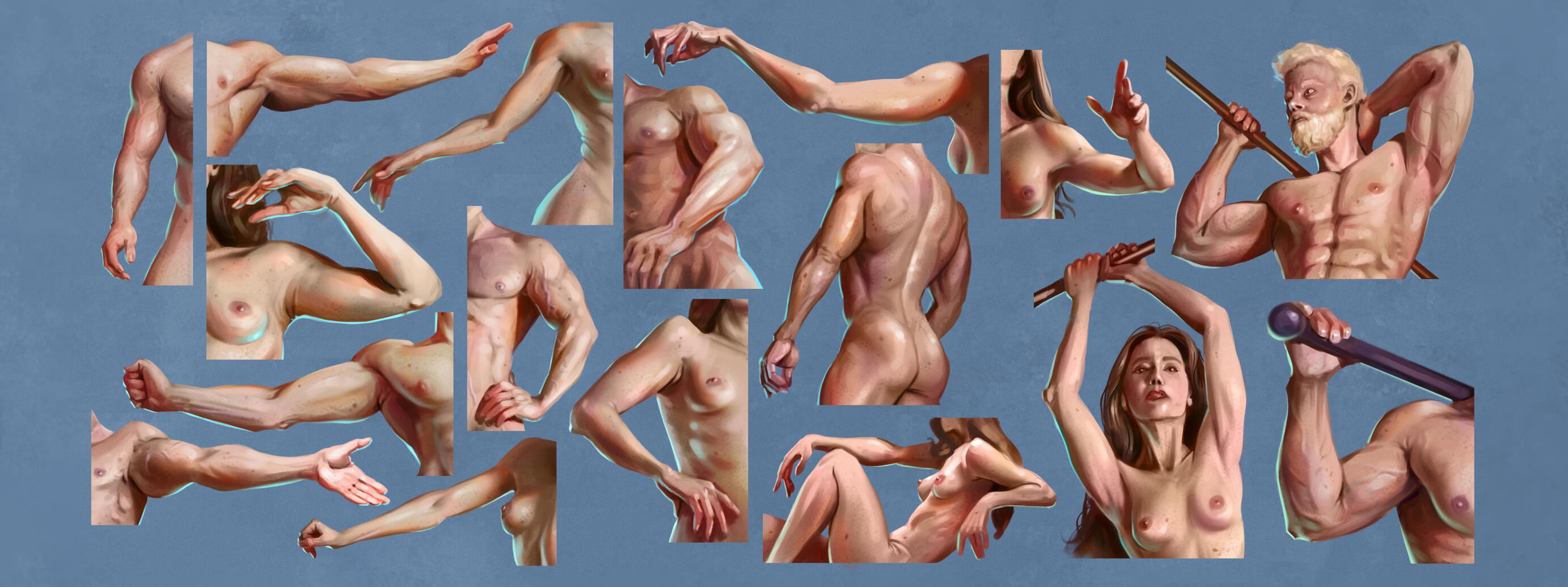 Arm Study Paintings